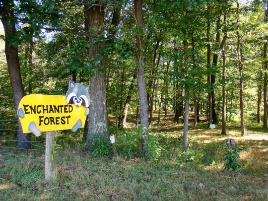 Take a walk in the Enchanted Forest and discover how early farmers lived.
