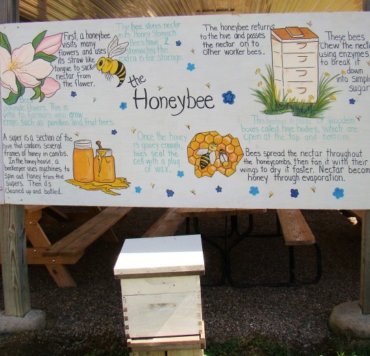 Educating students and adults about honey bees is one of Jim's enjoyments.