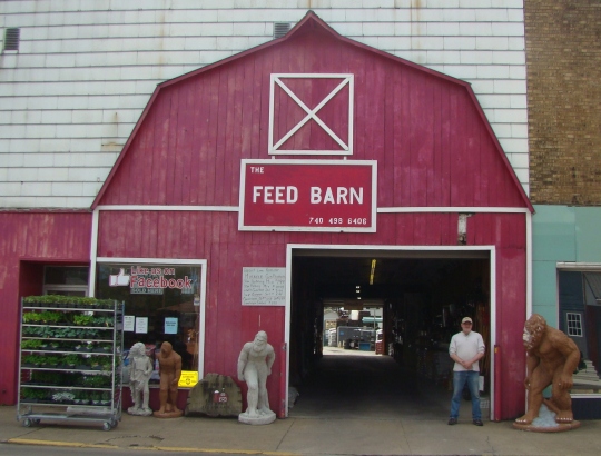 BF The Feed Barn